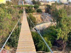 الجسر المعلق في بلجرشي.. تجربة سياحية تجمع بين الطبيعة والمغامرة