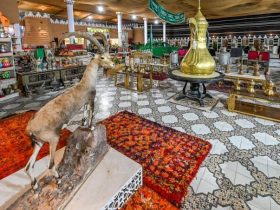 متاحف حائل.. رحلة عبر الزمن تروي تفاصيل الحياة القديمة