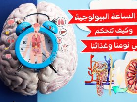 الضريبة البيولوجية للوظيفة.. ماذا يفعل العمل المفرط بذاكرتك وتركيزك؟