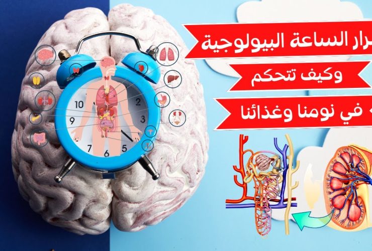 الضريبة البيولوجية للوظيفة.. ماذا يفعل العمل المفرط بذاكرتك وتركيزك؟