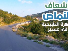 النماص.. جارة الضباب وحاضنة الحضارات المنسية على قمم السروات