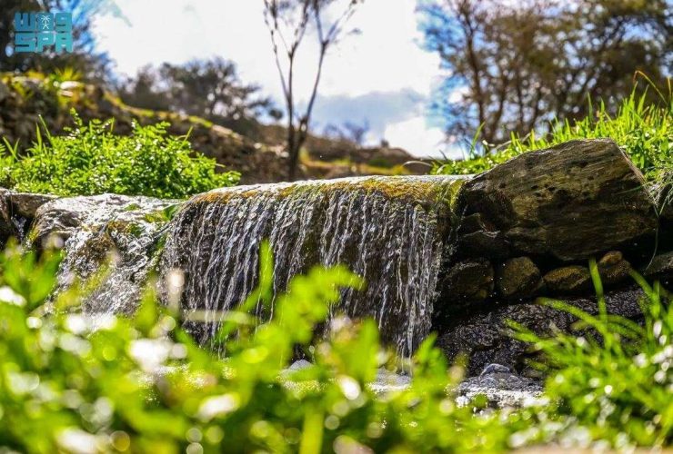 شلال ووادي الحمدة بالباحة.. لوحة طبيعية ساحرة تجسد التنوع البيئي