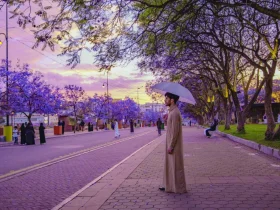 أبها.. عروس الجبل ووجهة تجمع الطبيعة والتراث في جنوب السعودية