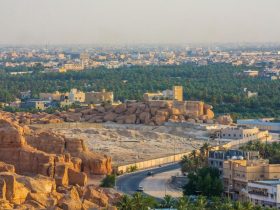 مدينة الهفوف.. عاصمة التمر والتاريخ في قلب الأحساء