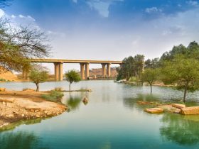 وادي حنيفة.. أكبر وديان الرياض ووجهة تجمع بين المياه والطبيعة الخلابة