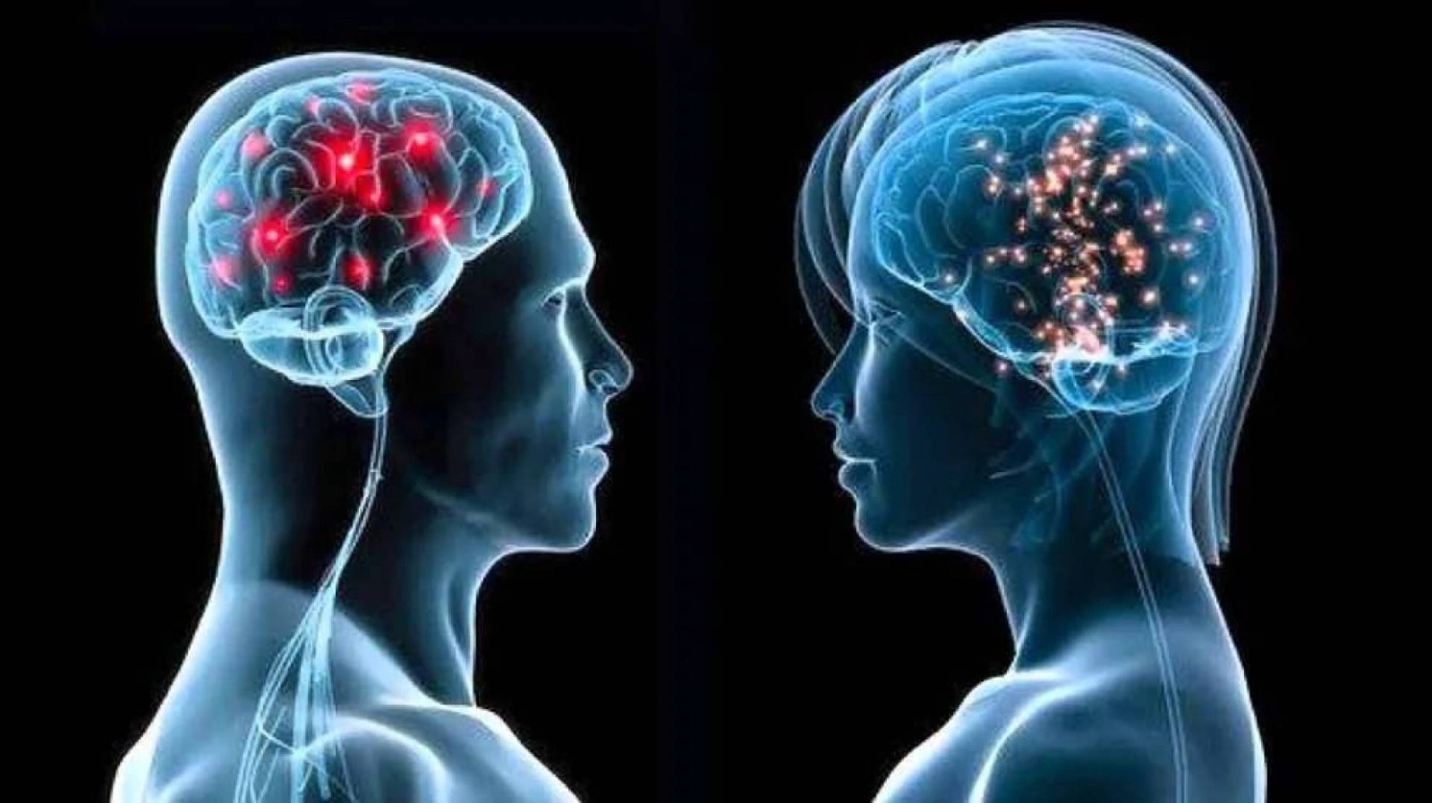 خريطة العمر البيولوجي..كيف تختلف الشيخوخة بين الرجال والنساء وكيف تسبقها؟