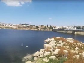 سد بحيرة أبها.. واحة الطبيعة وسحر المعالم في قلب عسير