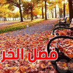 سحر الخريف.. كيف يمنحنا الفصل الانتقالي السعادة والسكينة النفسية؟