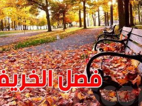 سحر الخريف.. كيف يمنحنا الفصل الانتقالي السعادة والسكينة النفسية؟