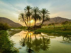 وادي قنونا.. لوحة طبيعية تجمع المياه الجارية والخضرة في جنوب غرب السعودية