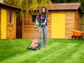 البستنة المستدامة.. خطوات بسيطة لحديقة أكثر صداقة للبيئة
