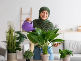 كيف تغرس العناية بالأزهار السلام الداخلي والتصالح مع الذات؟خبراء يتحدثون
