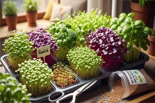 دليل المبتدئين لزراعة الغذاء في المنزل.. خطوات بسيطة لنشاط ممتع ومثمر