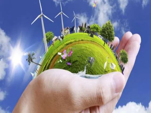 خطوات نحو بيئة نقية.. حلول عملية لحياة خالية من التلوث