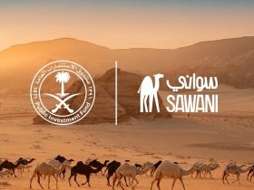 السواني.. تراث الآبار العميقة وأدواتها التقليدية في الجزيرة العربية