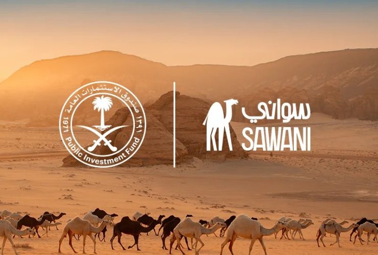 السواني.. تراث الآبار العميقة وأدواتها التقليدية في الجزيرة العربية