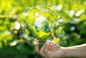 حلول التنمية المستدامة.. نماذج مبتكرة لصناعة أثر طويل الأمد