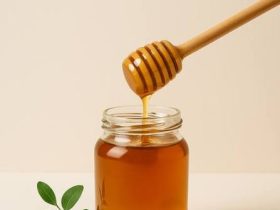 عسل السدر الجبلي.. أبرز أنواعه وطرق التمييز بين الأصلي والمغشوش