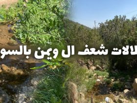جمال الطبيعة وعراقة التاريخ.. قرى "شعف آل ويمن" جوهرة السياحة في عسير