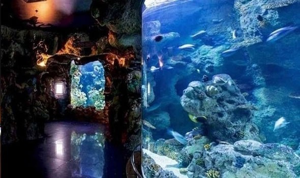 «أكبر متحف مائي بعجائب المخلوقات البحرية».. كورنيش البحر الأحمر بجدة