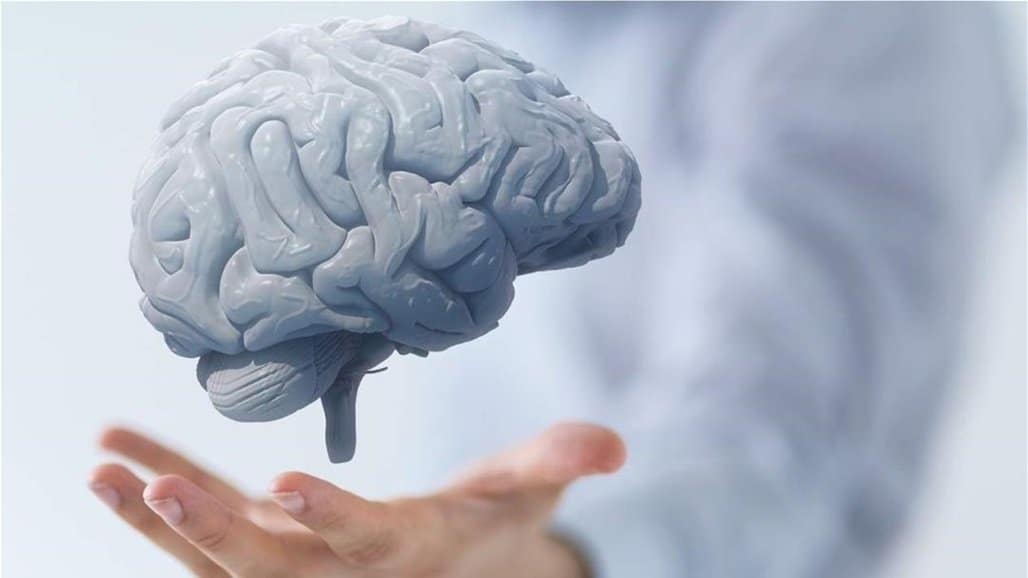 أطعمة تؤثر على الذاكرة ونشاط الدماغ يجب تجنبها