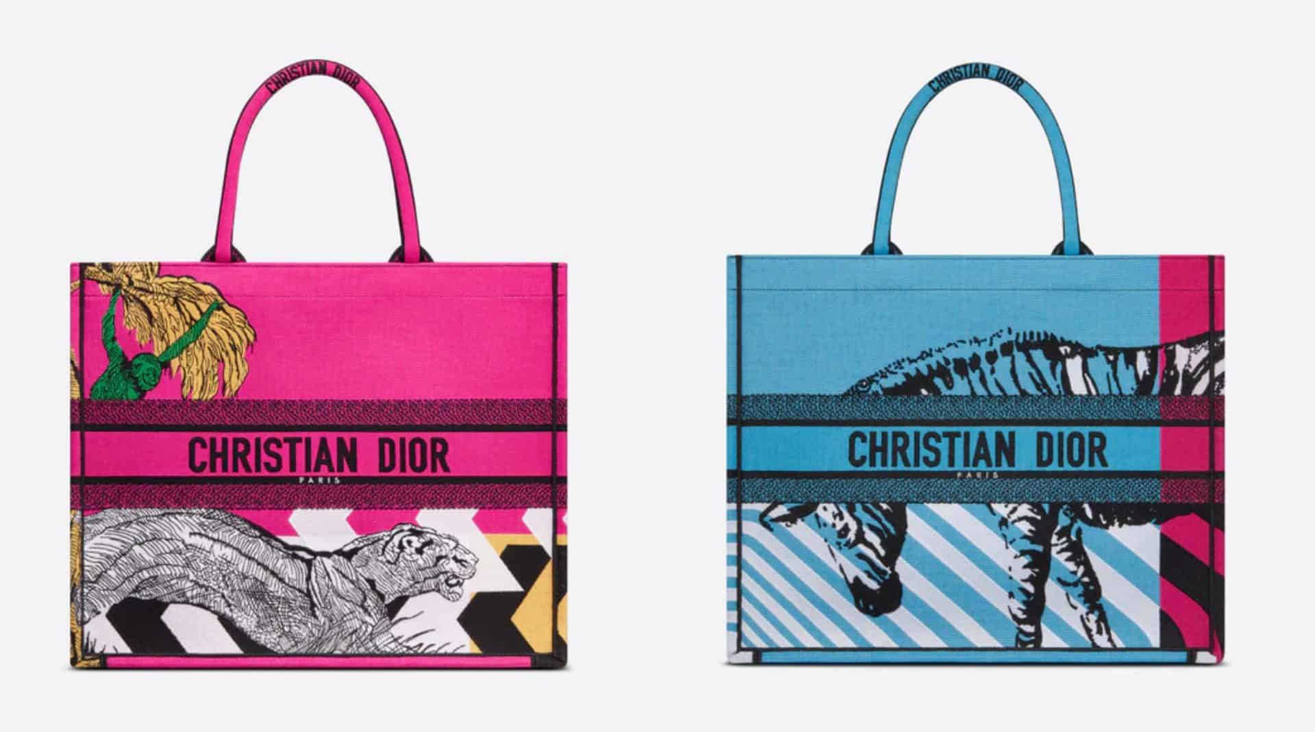 أجمل حقائب Dior موضة 2022