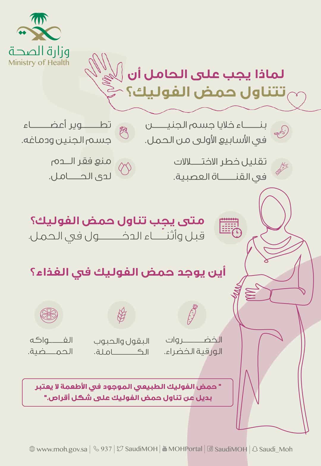 فوائد حمض الفوليك للحامل.. «الصحة» توضح